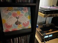 IMG_8501.jpeg