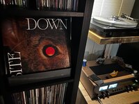 IMG_8503.jpeg