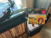 IMG_2741.jpeg
