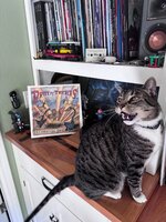IMG_5443.jpeg