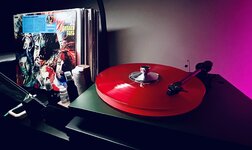 IMG_2406.jpeg