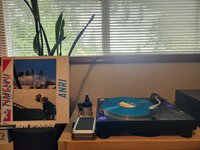 20250516_115633.jpg