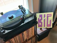 IMG_2744.jpeg