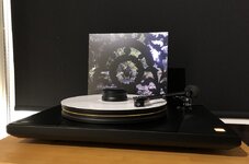 IMG_8884.jpeg