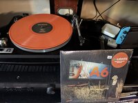IMG_8012.jpeg