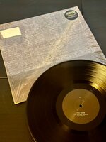 IMG_8350.jpeg