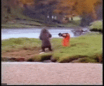 EnviousWelltodoAustralianfurseal-max-1mb.gif