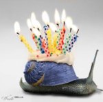 2e7d95a08d91a18f28e836ffb039fcdf--birthday-freebies-birthday-ideas.jpg