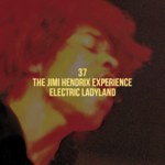 electric-ladyland-4fb44990c5855.png