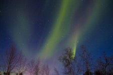 Northern Lights Kiruna.jpg