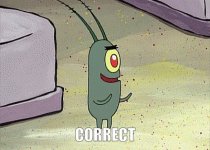 plankton-correct-gif.gif